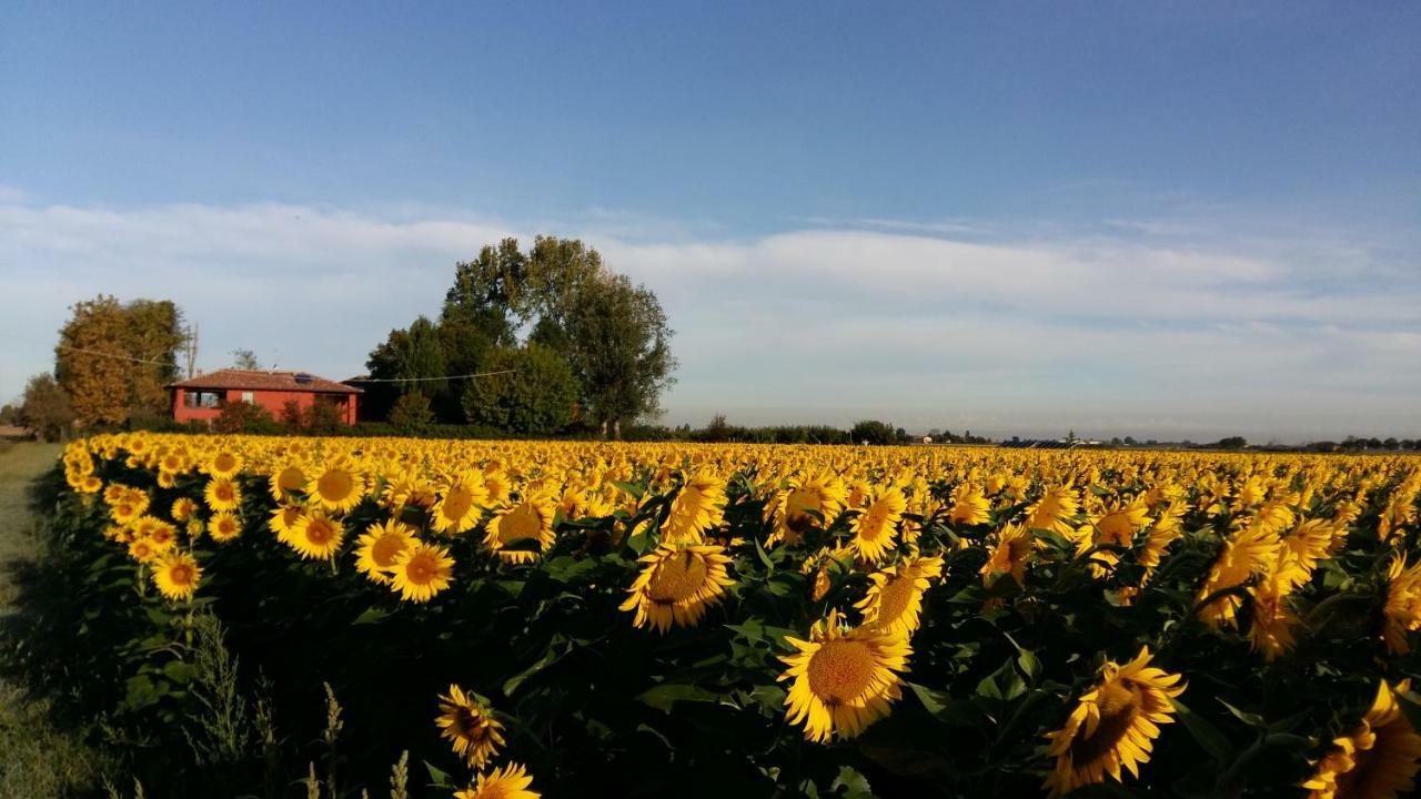 Santa Maria Di Lorgana Bed & Breakfast Minerbio Bagian luar foto