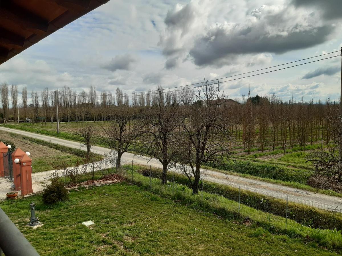 Santa Maria Di Lorgana Bed & Breakfast Minerbio Bagian luar foto