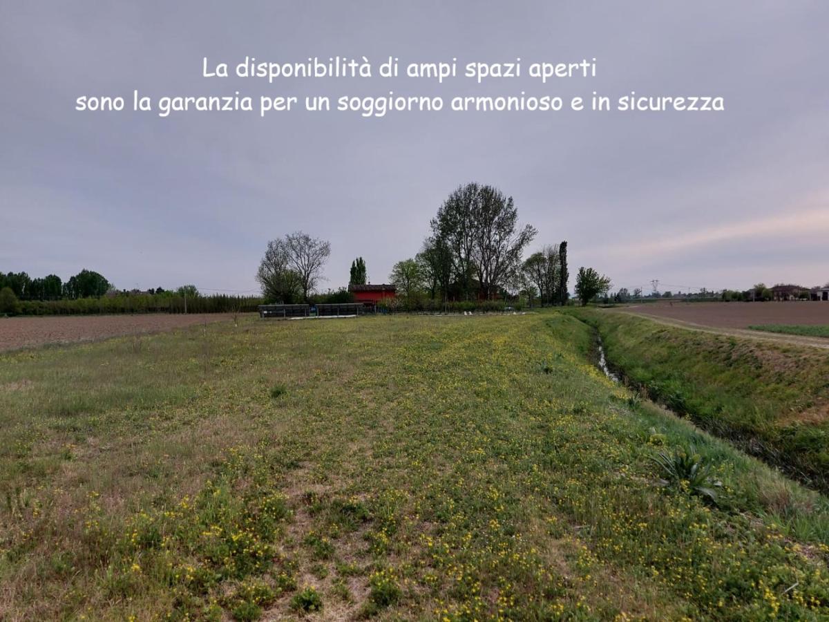Santa Maria Di Lorgana Bed & Breakfast Minerbio Bagian luar foto
