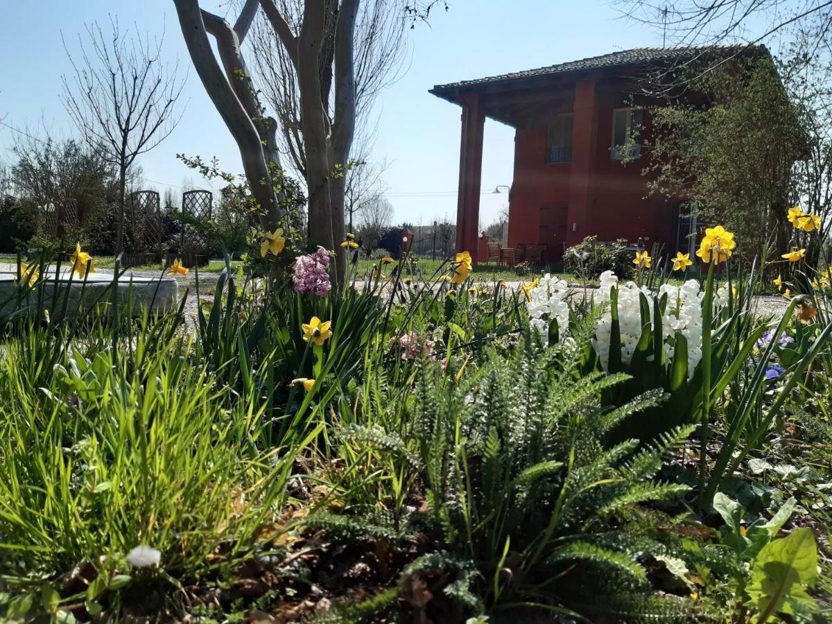 Santa Maria Di Lorgana Bed & Breakfast Minerbio Bagian luar foto